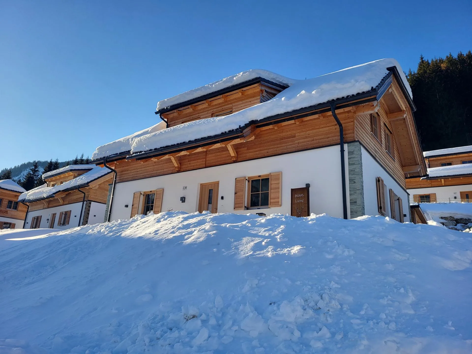 Haus Liene - Picturesque winter exterior view of our luxury chalet nestled in snow with the Austrian Alps in the background
